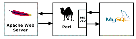 Apache - Perl - MySQL Overview